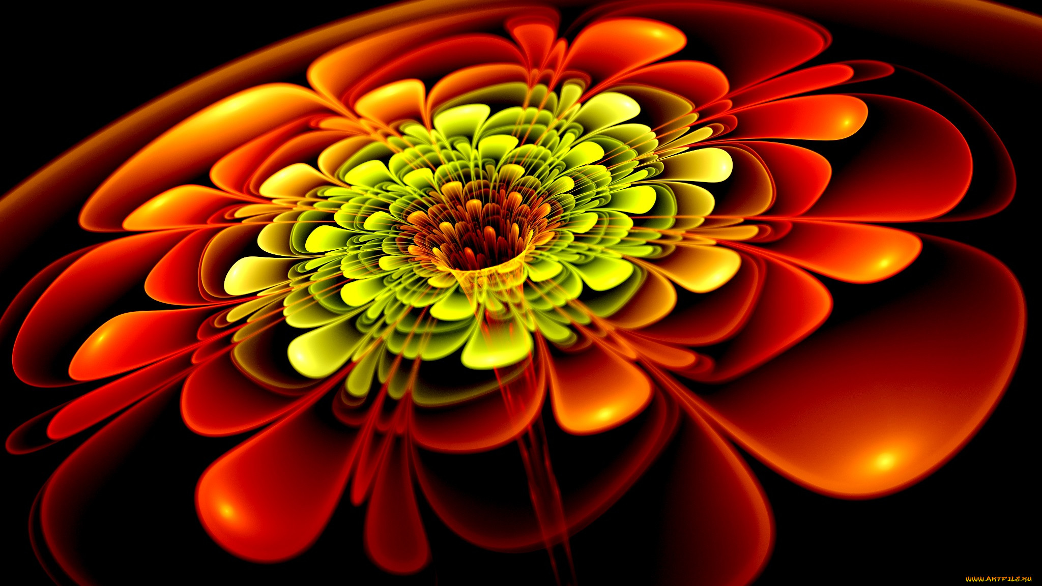 3 ,  , flowers, , , 